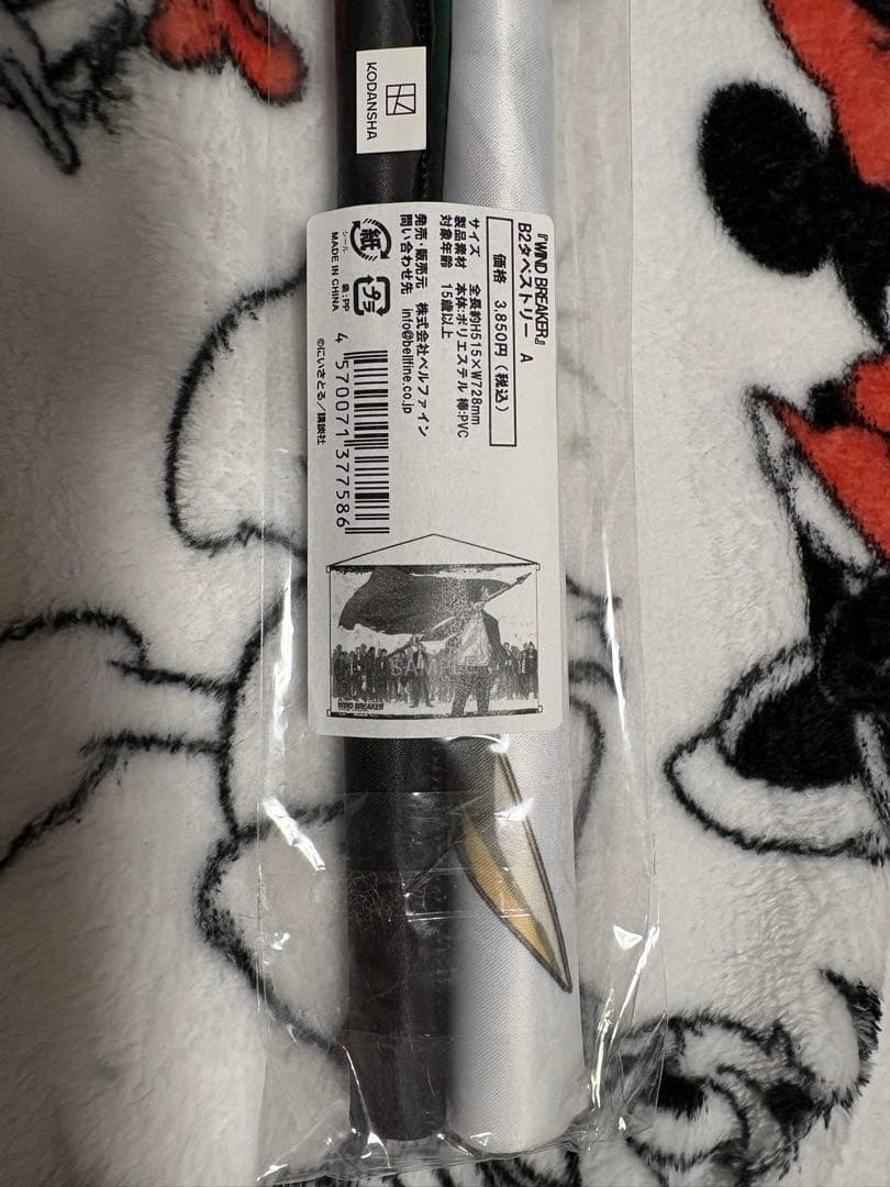 WIND BREAKER B2タペストリー　A