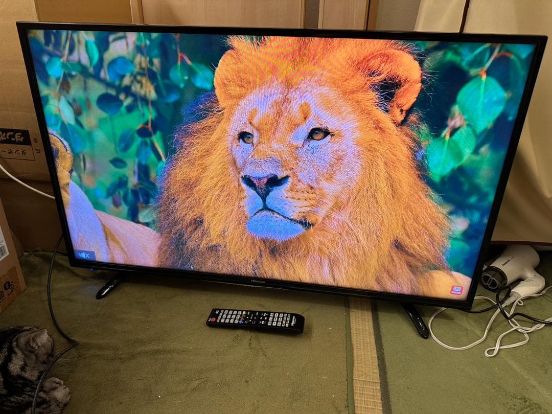 ハイセンス hisense 43型　テレビ HJ43K3120　17年　極美品
