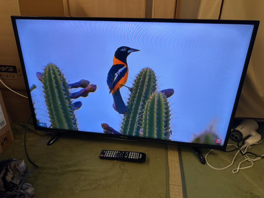 ハイセンス hisense 43型　テレビ HJ43K3120　17年　極美品