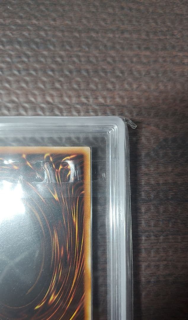 二頭を持つキング・レックス　ARS10【極美品】