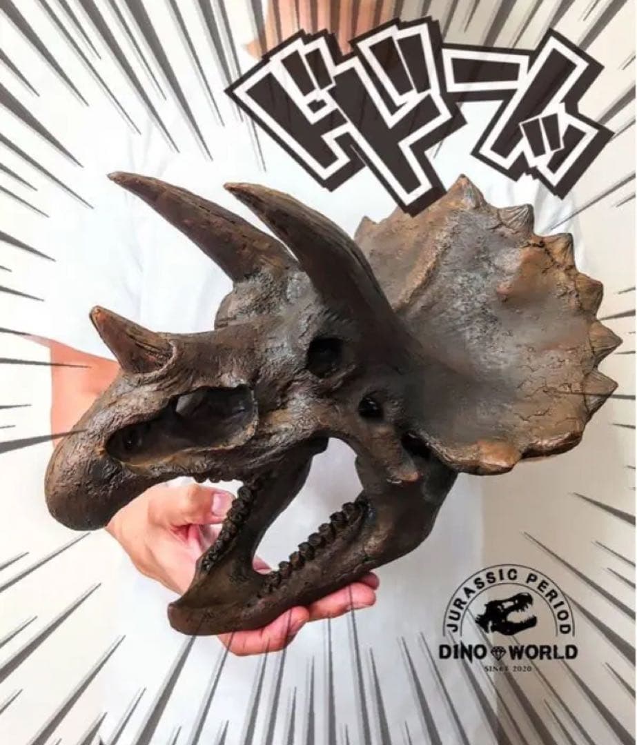 ✨大迫力✨ トリケラトプス　恐竜の化石 レプリカ ジュラシックワールド