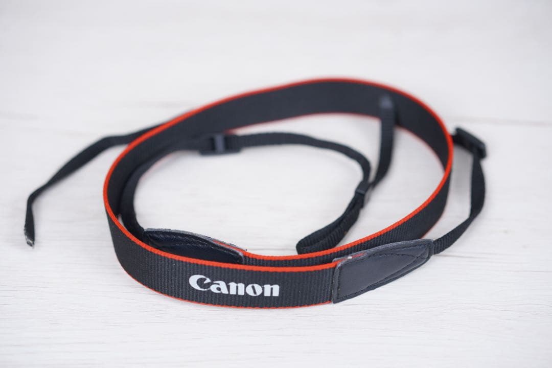 【初心者おすすめ】Canon EOS M100 ダブルレンズキット バッテリー付