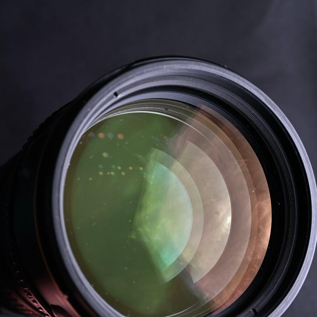 Nikon AF-S VR 70-200mmf2.8G フードNG,モーター更新