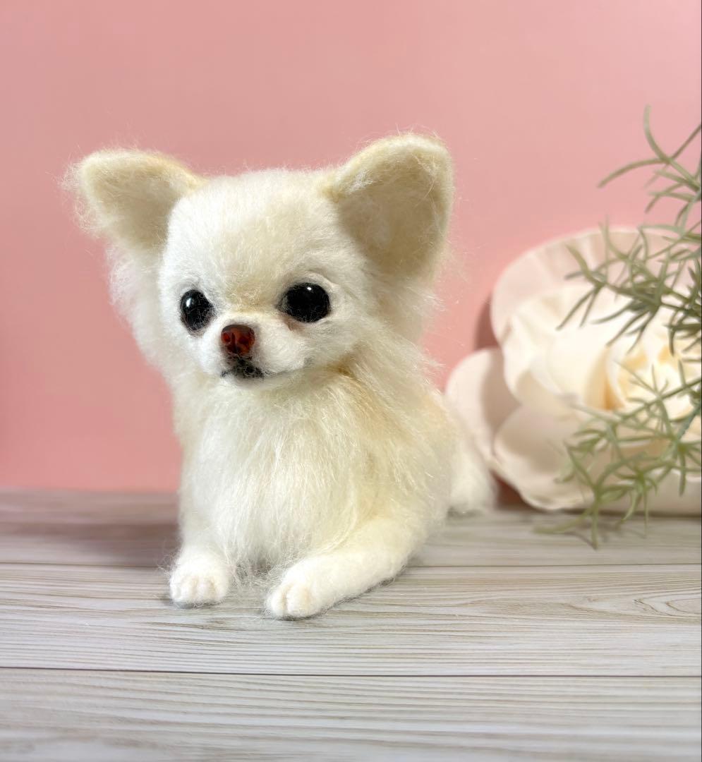 羊毛犬　羊毛フェルト　おすましチワワ