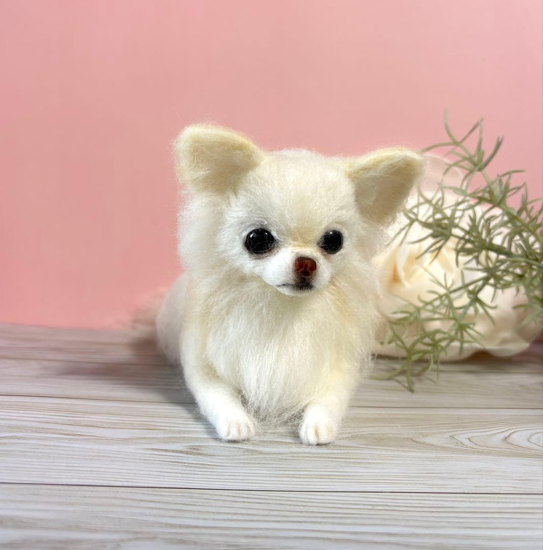 羊毛犬　羊毛フェルト　おすましチワワ