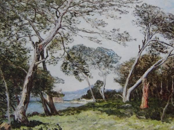 M・モーフラ、LES PINS DE L'ILE ST. HONORAT