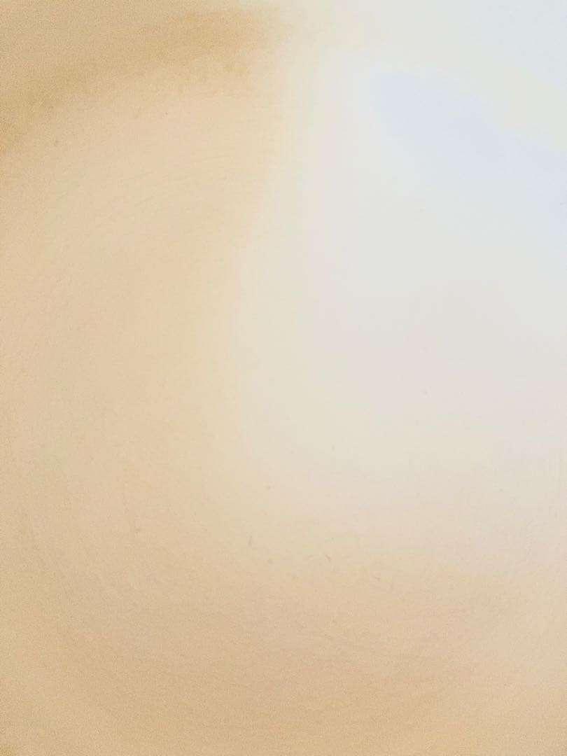 ル・クルーゼ　ココット・ロンド20cm ブルーベリーパープル