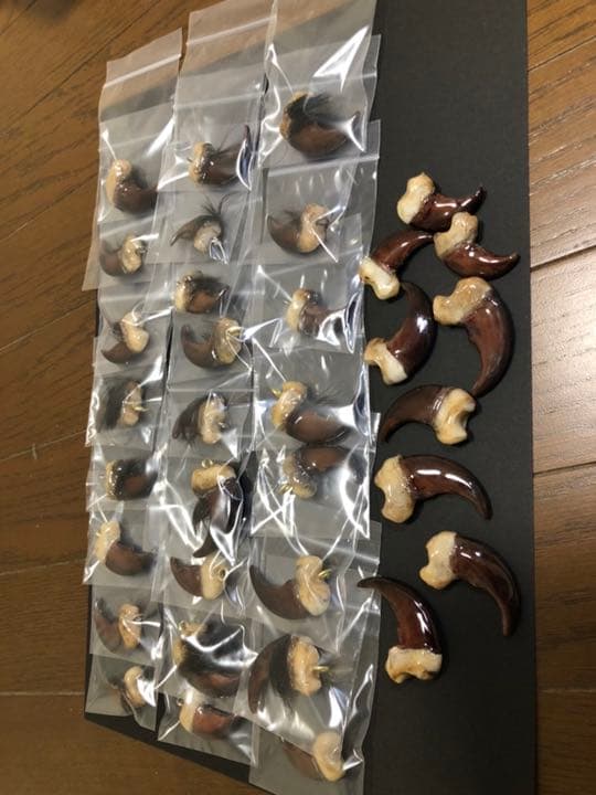 天然ツキノワグマの爪50本セット、一点一点磨き上げ樹脂コーティングしてあります。