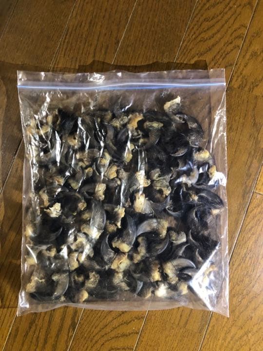 天然ツキノワグマの爪50本セット、一点一点磨き上げ樹脂コーティングしてあります。