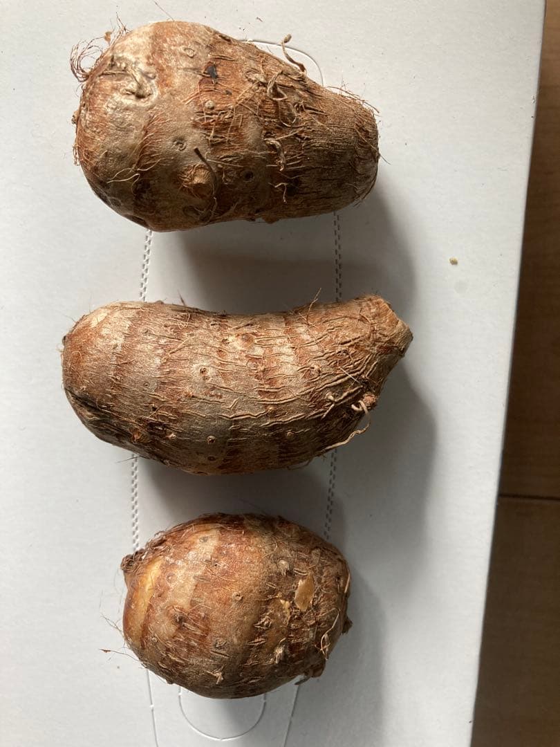 海老芋　種芋　2kg ➕　里芋　種芋　2kg 農薬不使用