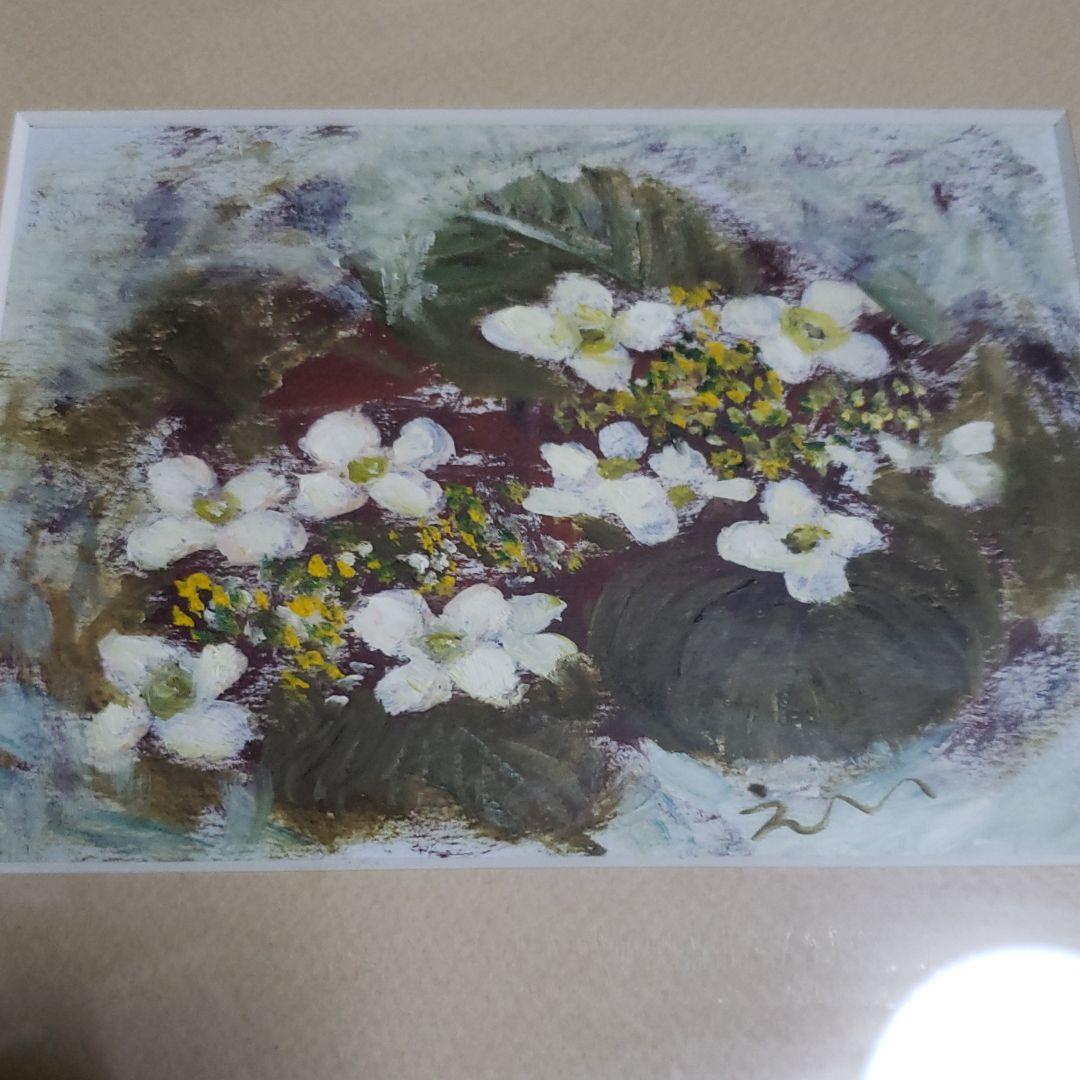 油絵 「ムシカリの花」