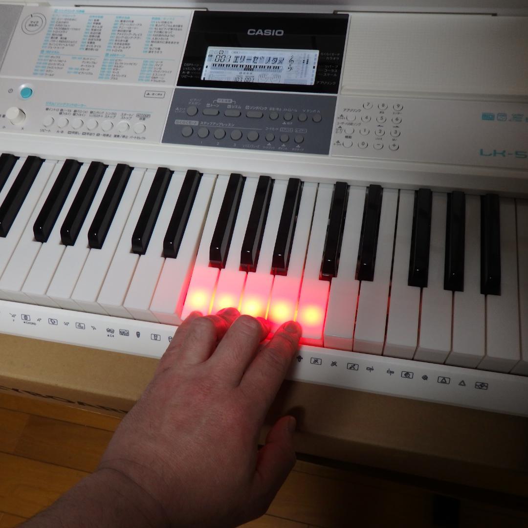 カシオ CASIO デジタルキーボード LK-516　外観小難アリ 付属品全て有