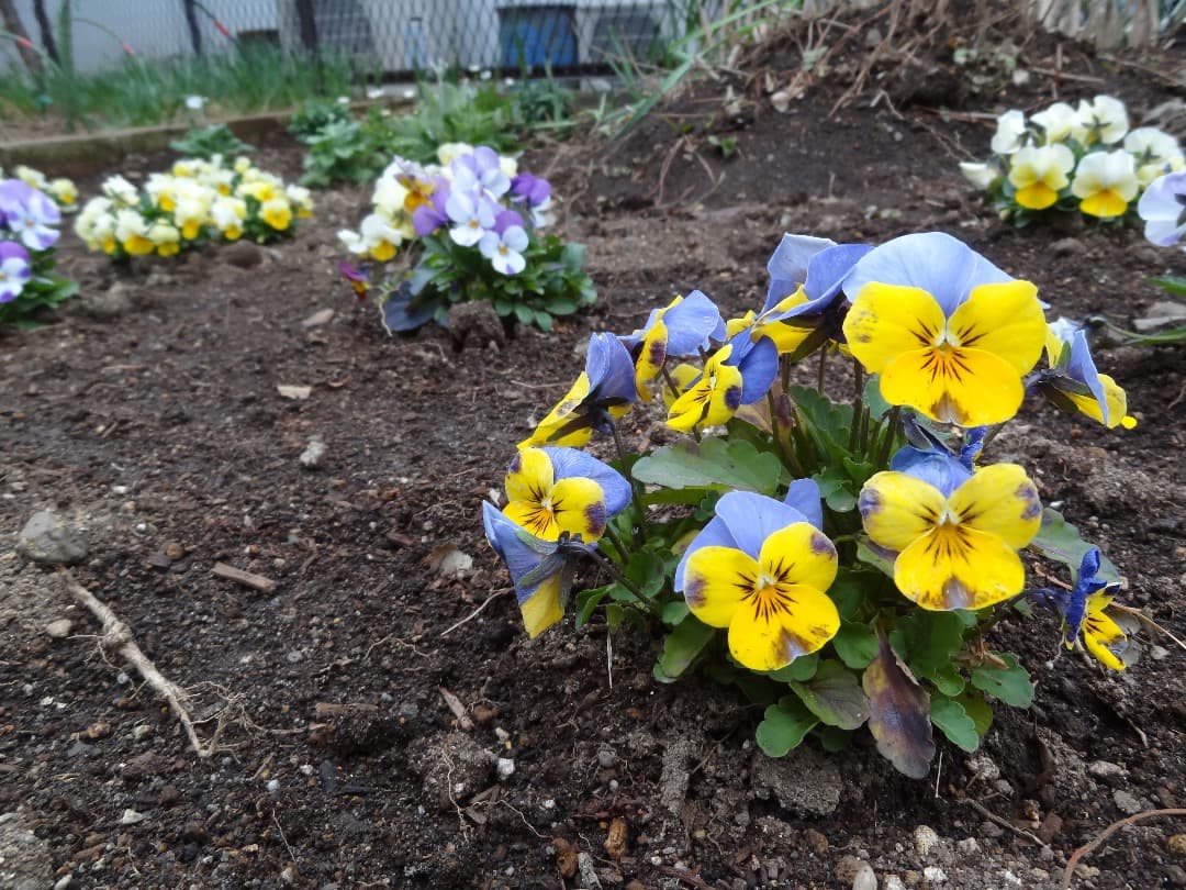 実写美⭕️【動作確認済み】Sony Cyber-shot DSC-HX7V 黒