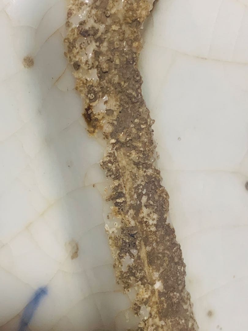 中国明時代晩期四方染付大皿