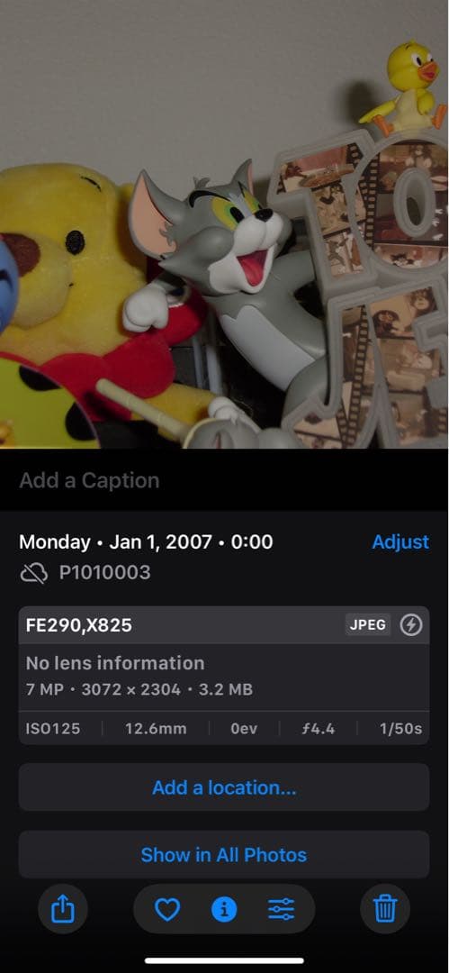 OLYMPUS オリンパス FE-290 デジタルカメラ　CCD 作例