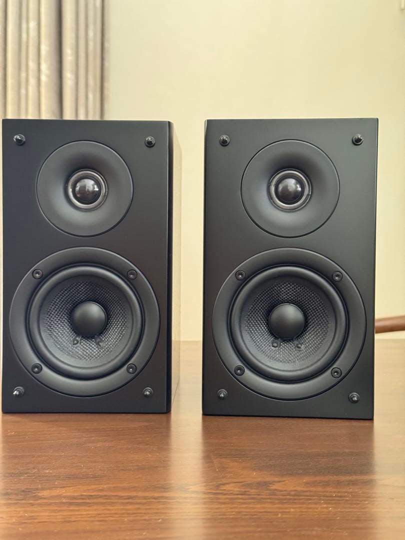Pioneer（パイオニア）小型スピーカー CN-301 -LR