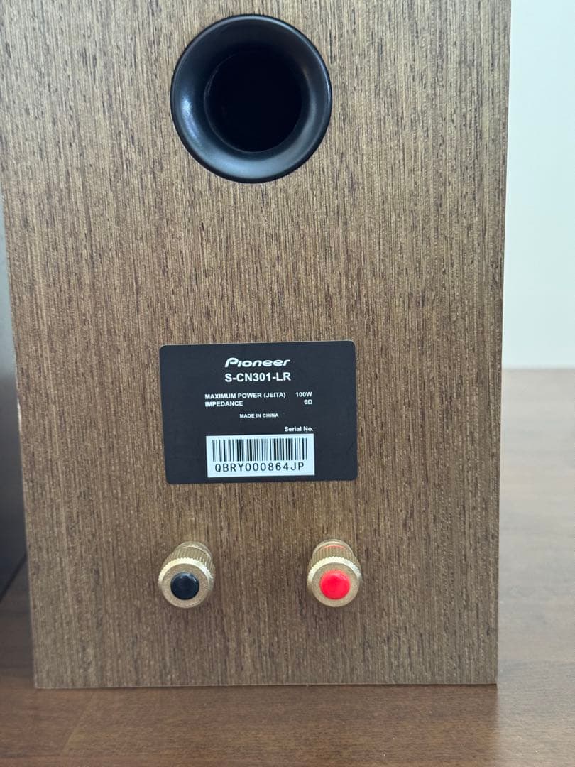 Pioneer（パイオニア）小型スピーカー CN-301 -LR