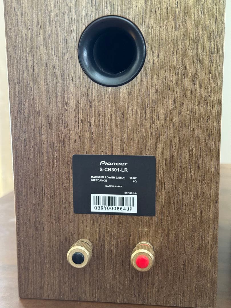 Pioneer（パイオニア）小型スピーカー CN-301 -LR