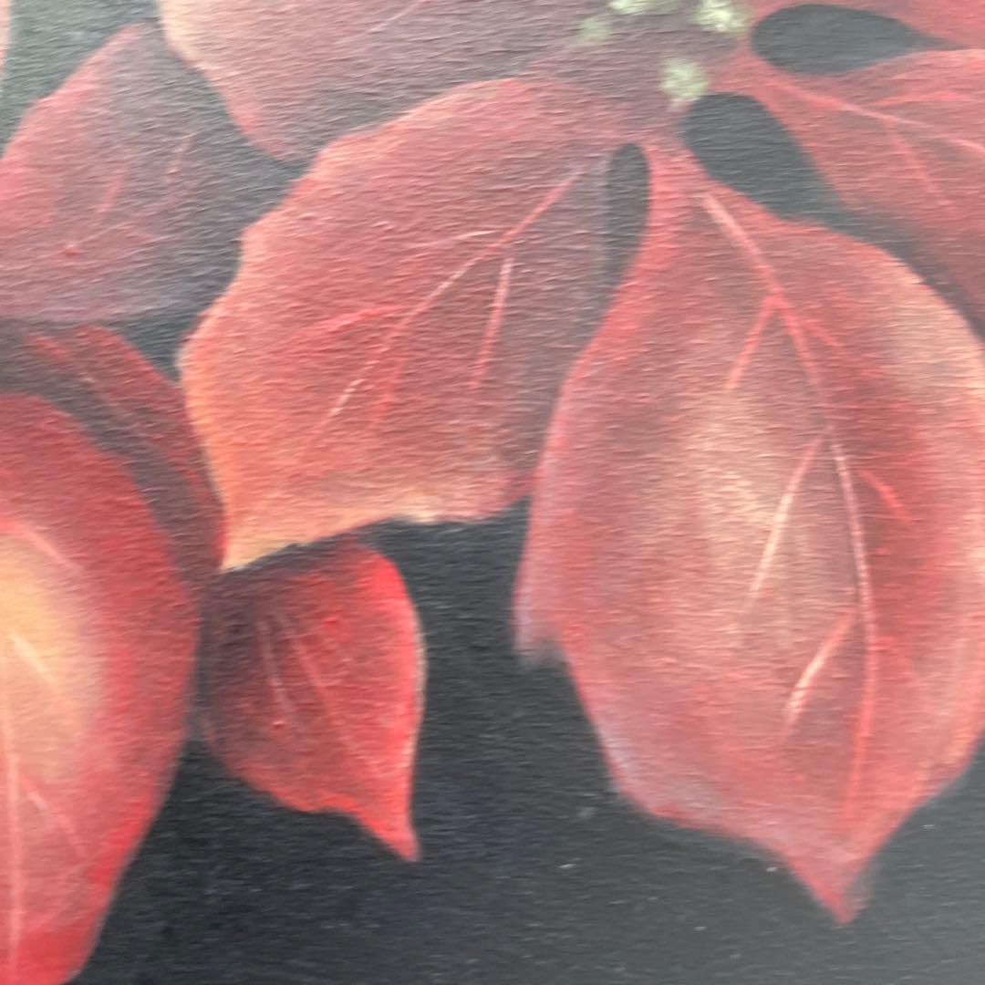 トールペイント？クリスマス。ポインセチア。