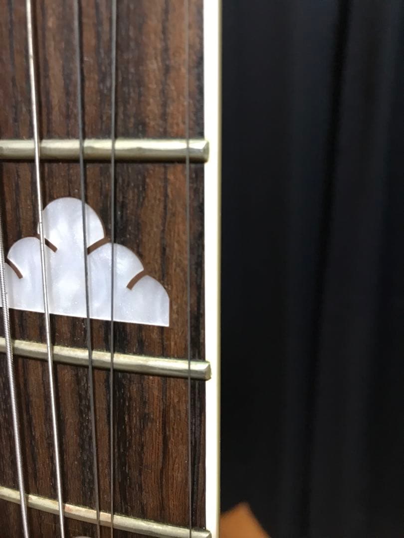 ギター BURNY MG-85X CS