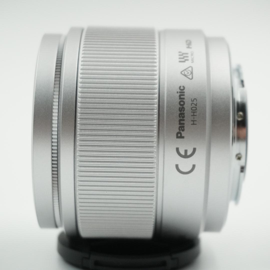 PANASONIC LUMIX DC-GF9 ダブルレンズキット #454