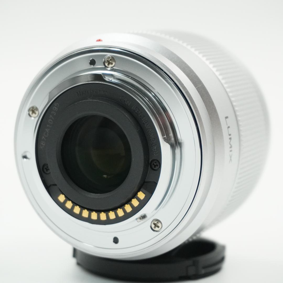 PANASONIC LUMIX DC-GF9 ダブルレンズキット #454