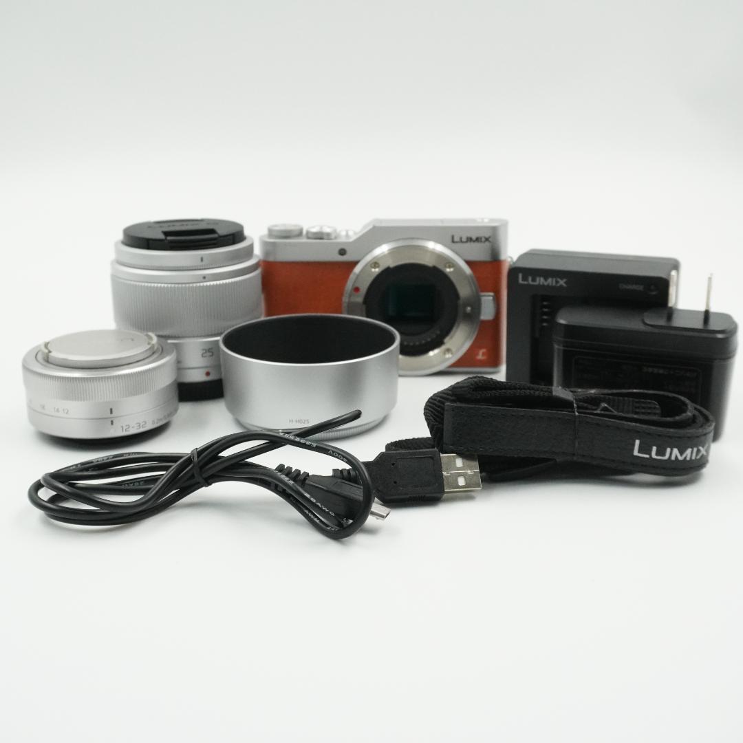 PANASONIC LUMIX DC-GF9 ダブルレンズキット #454