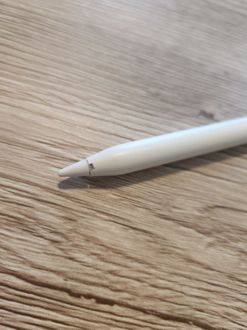 iPad Pro12.9 第5世代 256GB Wi-Fi スペースグレー +α
