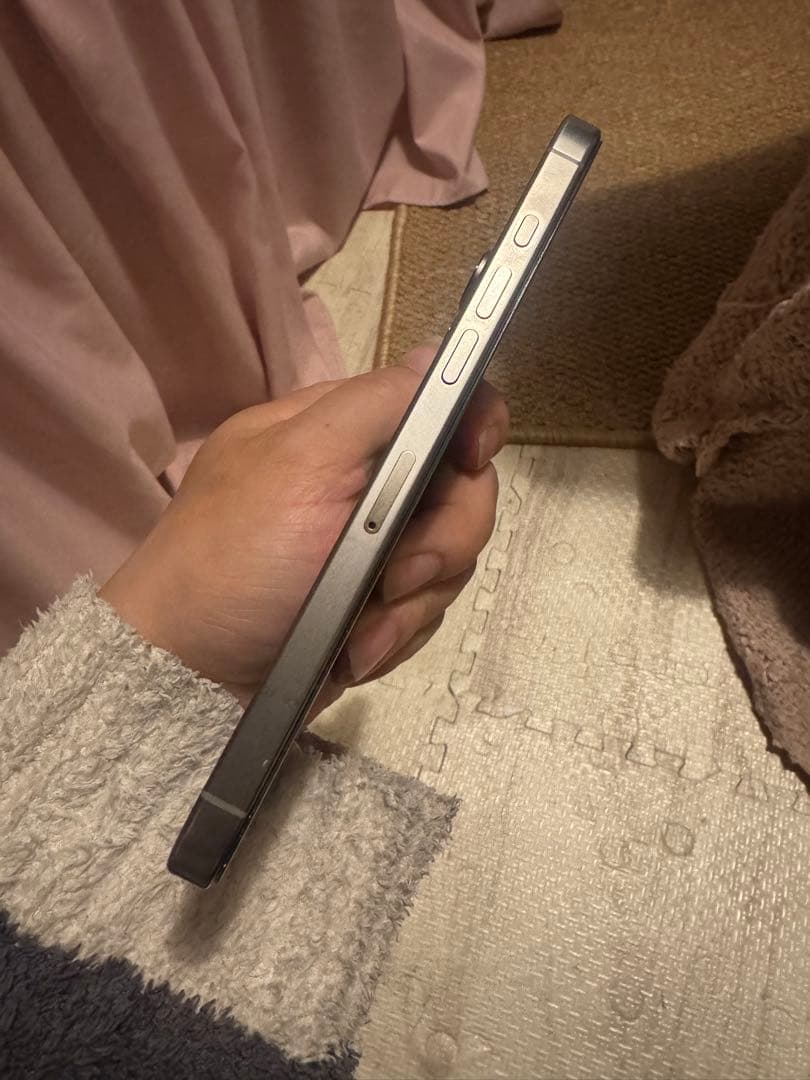 海外版iPhone 16 Pro Max 256GB,美品,バッテリーは97％