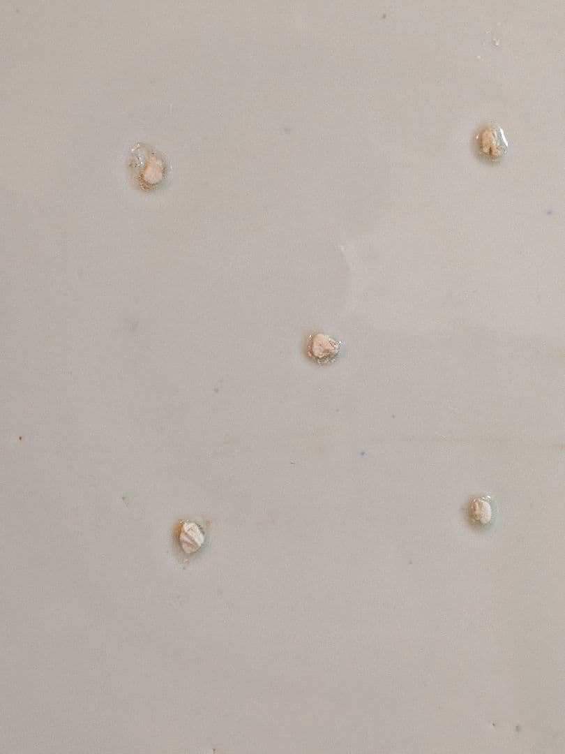 江戸時代幕末〜明治時代後期頃古伊万里有田焼時代直径４５Ｘ高さ５センチ大皿当時物