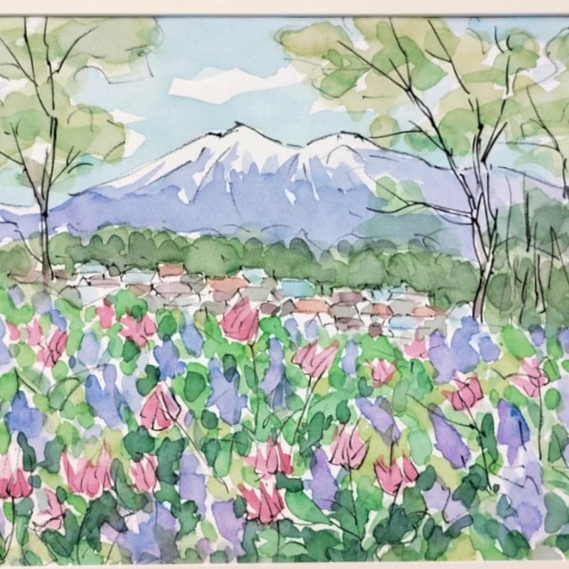 ☆ 境　肇 ☆「カタクリとエゾエンゴサクの見えるニセコ連峰」水彩画新品額！