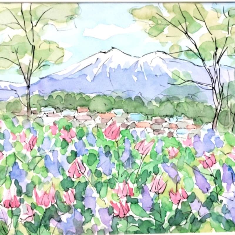 ☆ 境　肇 ☆「カタクリとエゾエンゴサクの見えるニセコ連峰」水彩画新品額！