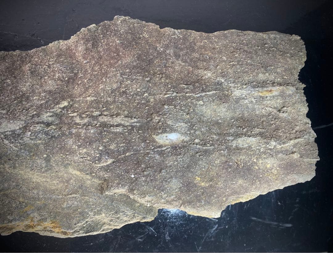 6585 佐治川石 ウブ 横56.5cm 重量:6kg 水石 盆栽 鑑賞石