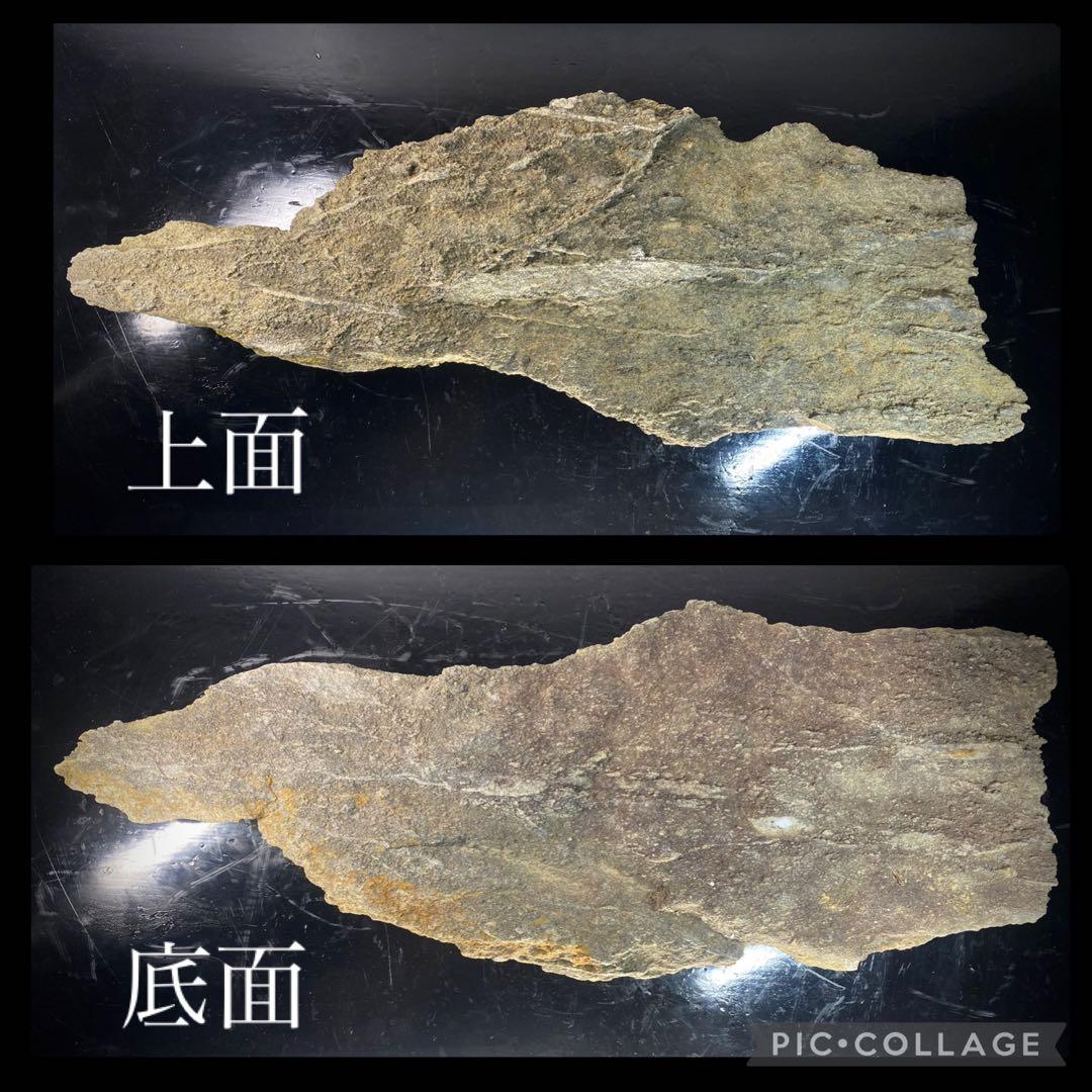 6585 佐治川石 ウブ 横56.5cm 重量:6kg 水石 盆栽 鑑賞石