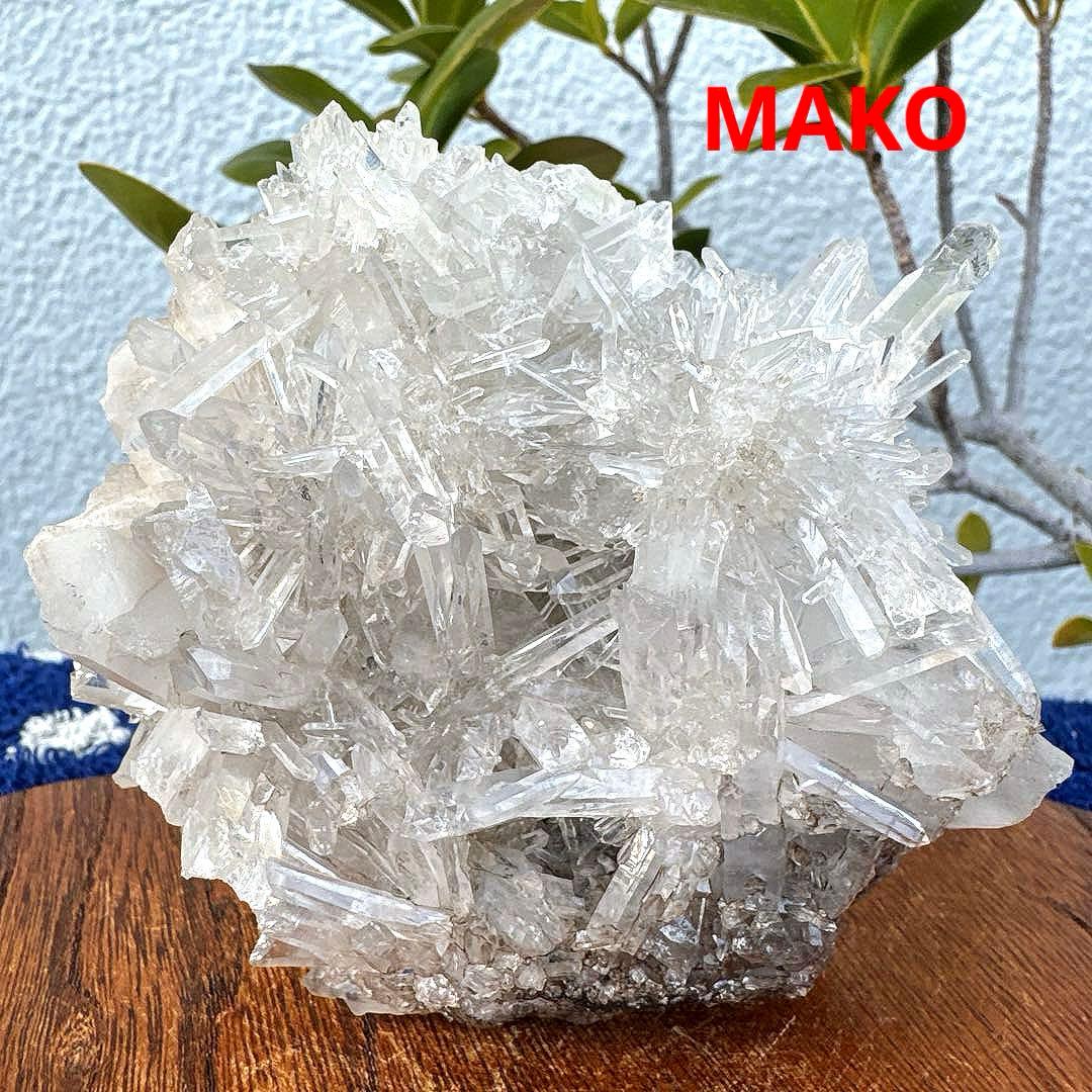 M1957☆ヒマラヤ菊花水晶クラスター533g☆天然石　原石☆N50912-F