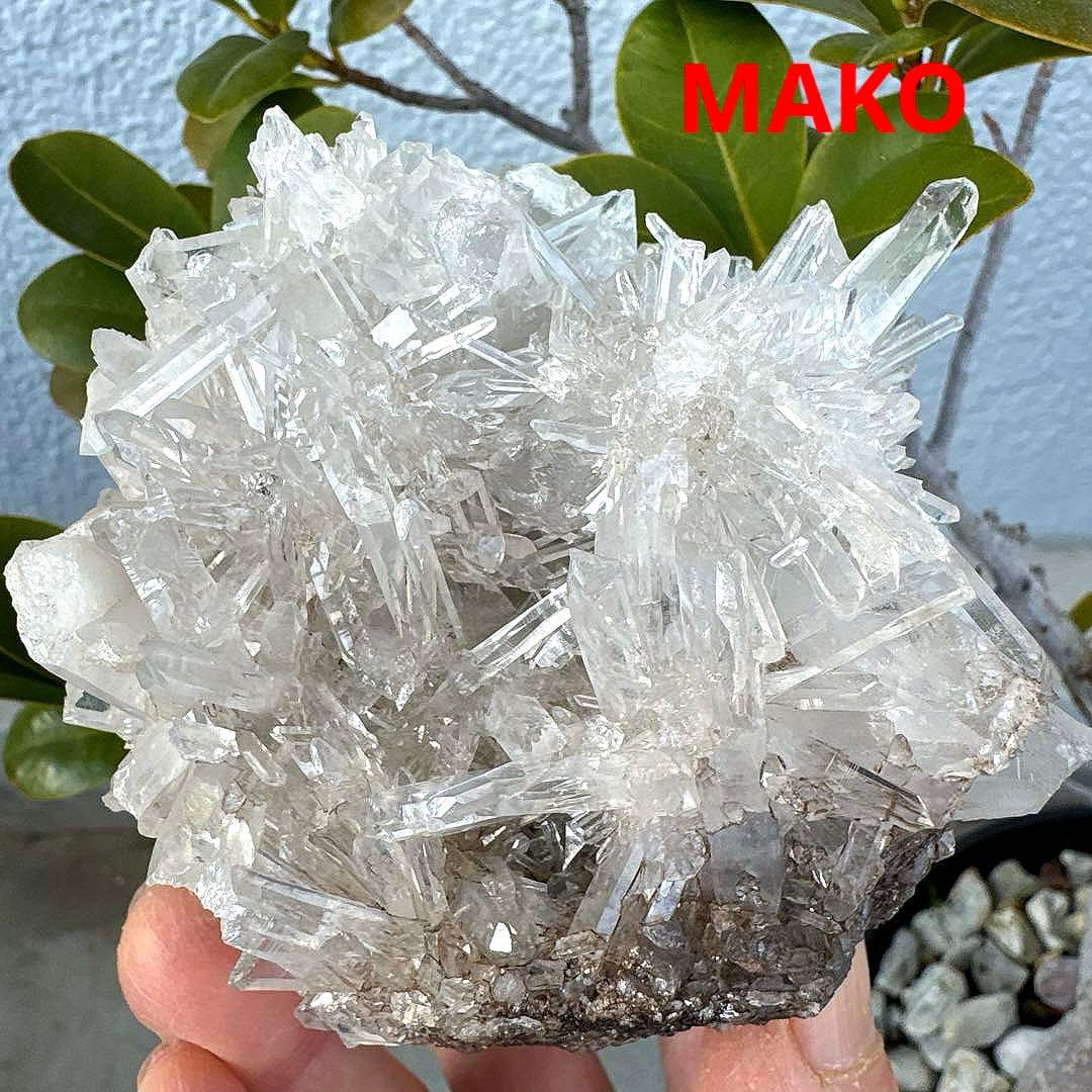 M1957☆ヒマラヤ菊花水晶クラスター533g☆天然石　原石☆N50912-F