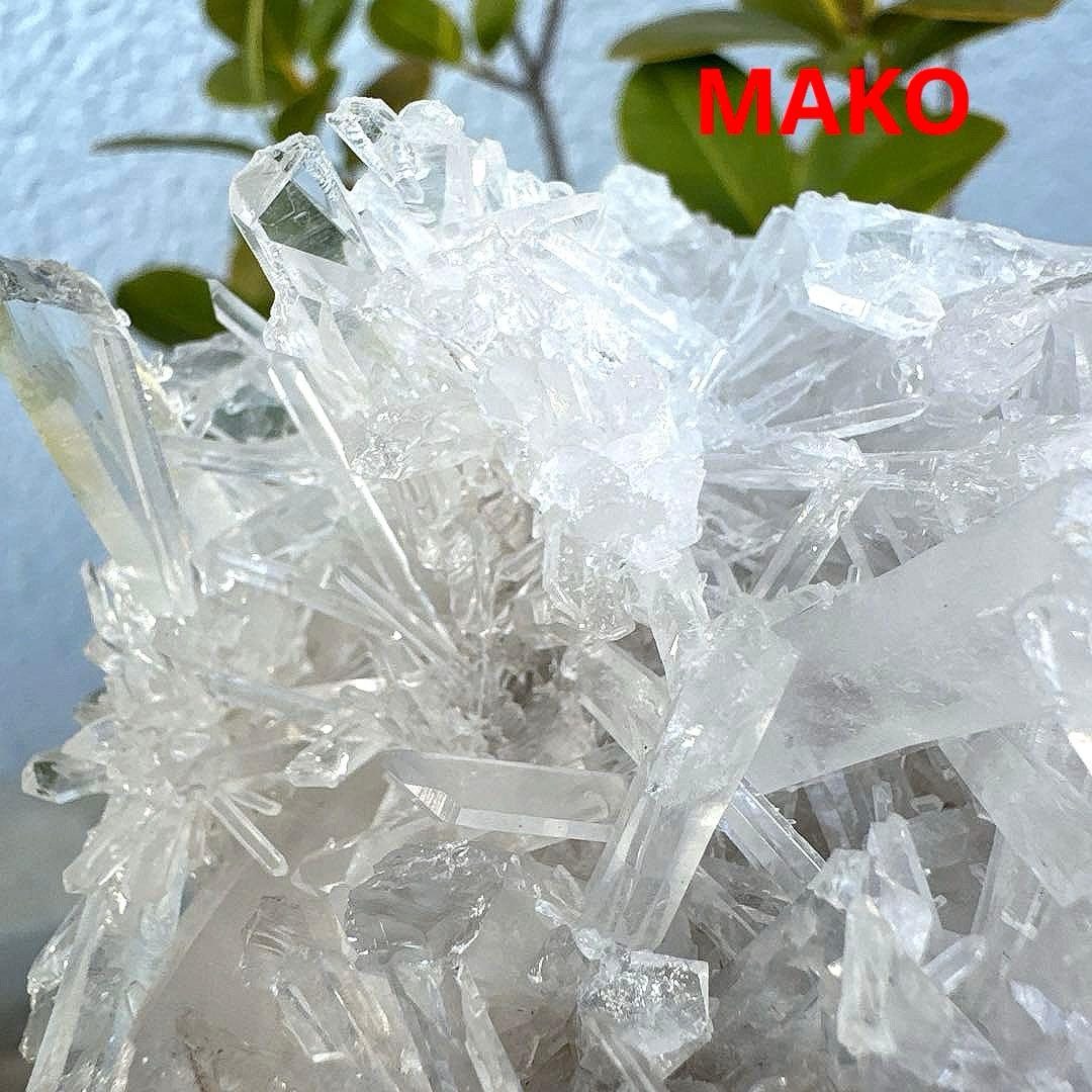 M1957☆ヒマラヤ菊花水晶クラスター533g☆天然石　原石☆N50912-F