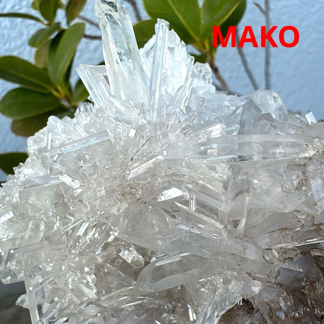 M1957☆ヒマラヤ菊花水晶クラスター533g☆天然石　原石☆N50912-F