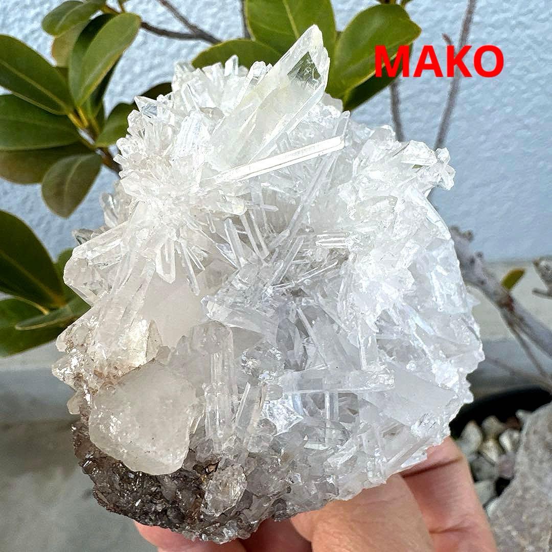 M1957☆ヒマラヤ菊花水晶クラスター533g☆天然石　原石☆N50912-F