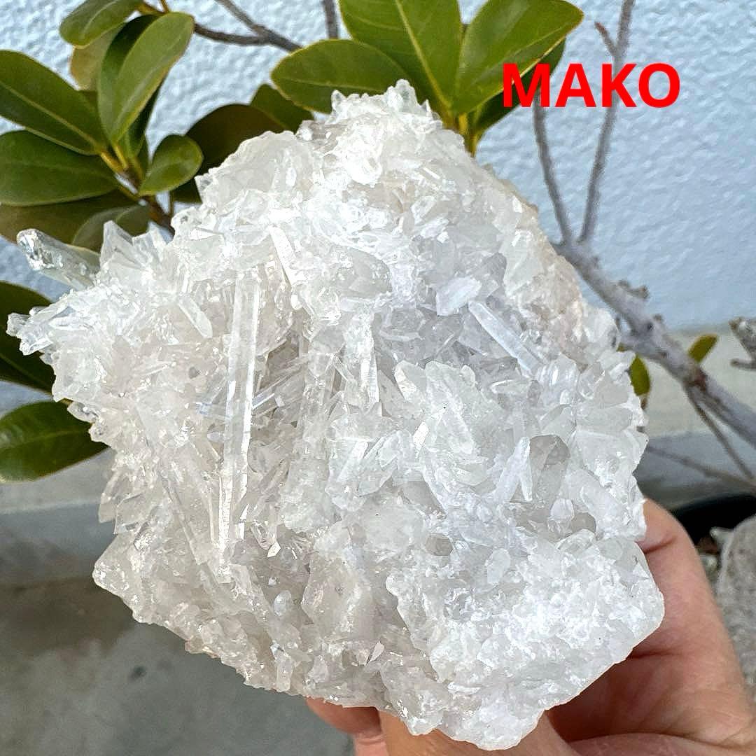 M1957☆ヒマラヤ菊花水晶クラスター533g☆天然石　原石☆N50912-F