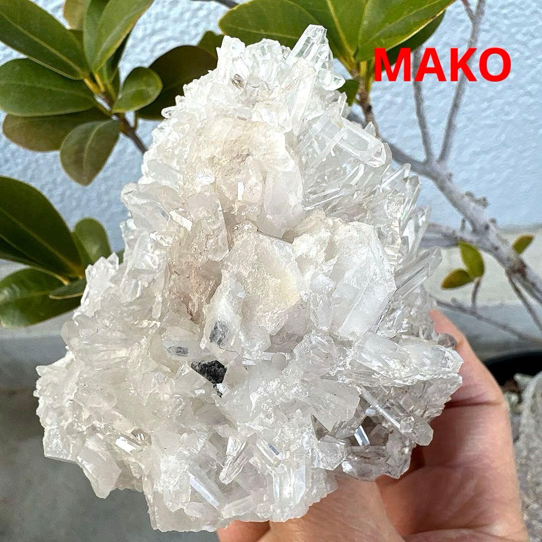 M1957☆ヒマラヤ菊花水晶クラスター533g☆天然石　原石☆N50912-F