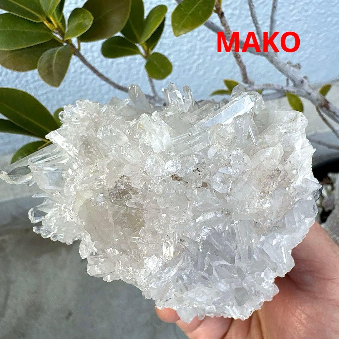 M1957☆ヒマラヤ菊花水晶クラスター533g☆天然石　原石☆N50912-F