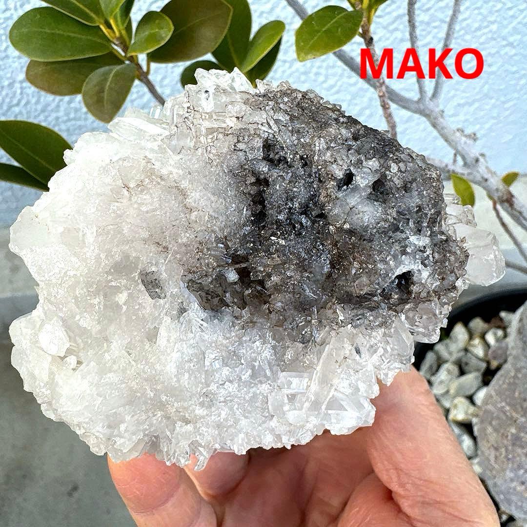 M1957☆ヒマラヤ菊花水晶クラスター533g☆天然石　原石☆N50912-F