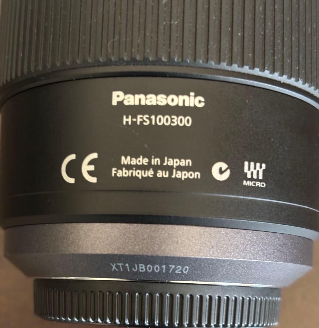 Panasonic 望遠ズームレンズ G VARIO 100-300