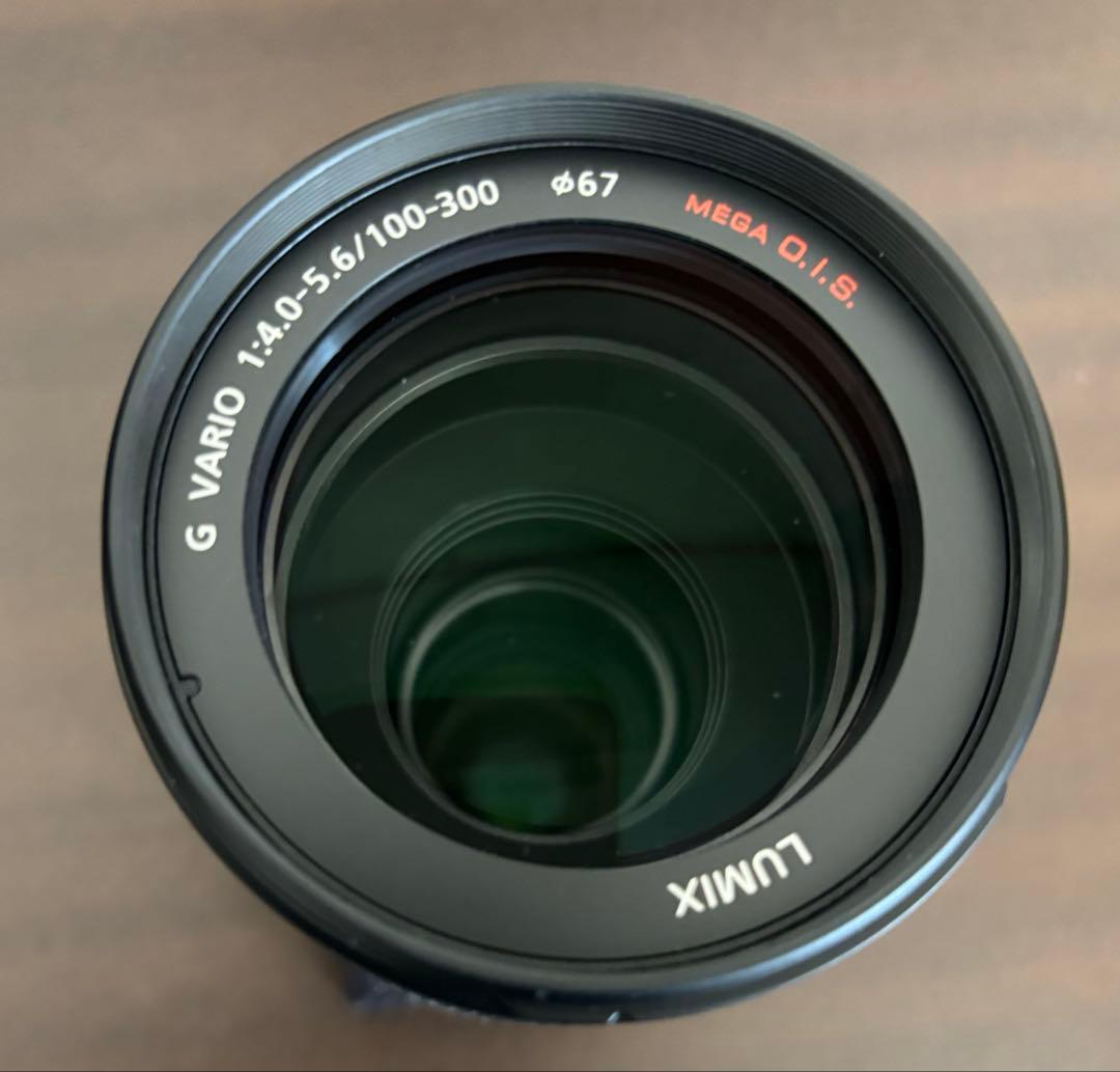 Panasonic 望遠ズームレンズ G VARIO 100-300