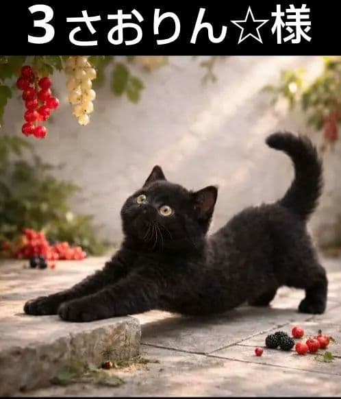 オーダーページ　ハンカチ2339 ねこちゃん柄　ハンドメイド　3/11