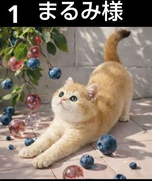 オーダーページ　ハンカチ2339 ねこちゃん柄　ハンドメイド　3/11