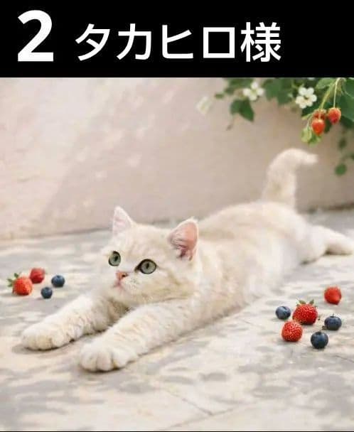 オーダーページ　ハンカチ2339 ねこちゃん柄　ハンドメイド　3/11