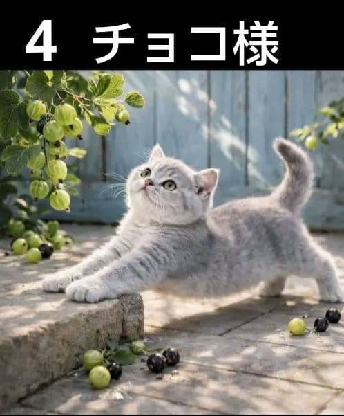 オーダーページ　ハンカチ2339 ねこちゃん柄　ハンドメイド　3/11