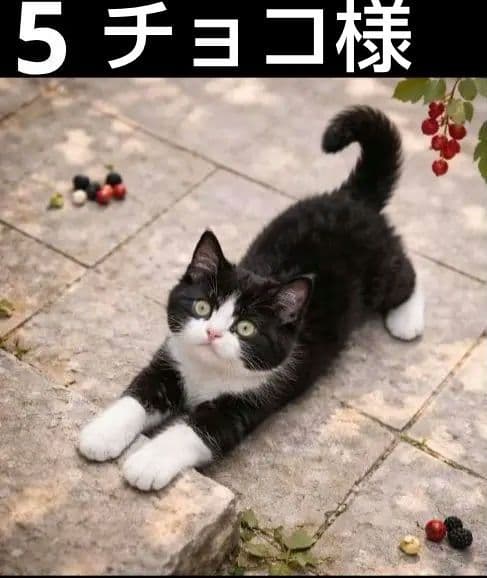 オーダーページ　ハンカチ2339 ねこちゃん柄　ハンドメイド　3/11